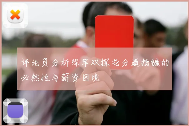 评论员分析绿军双探花分道扬镳的必然性与薪资困境